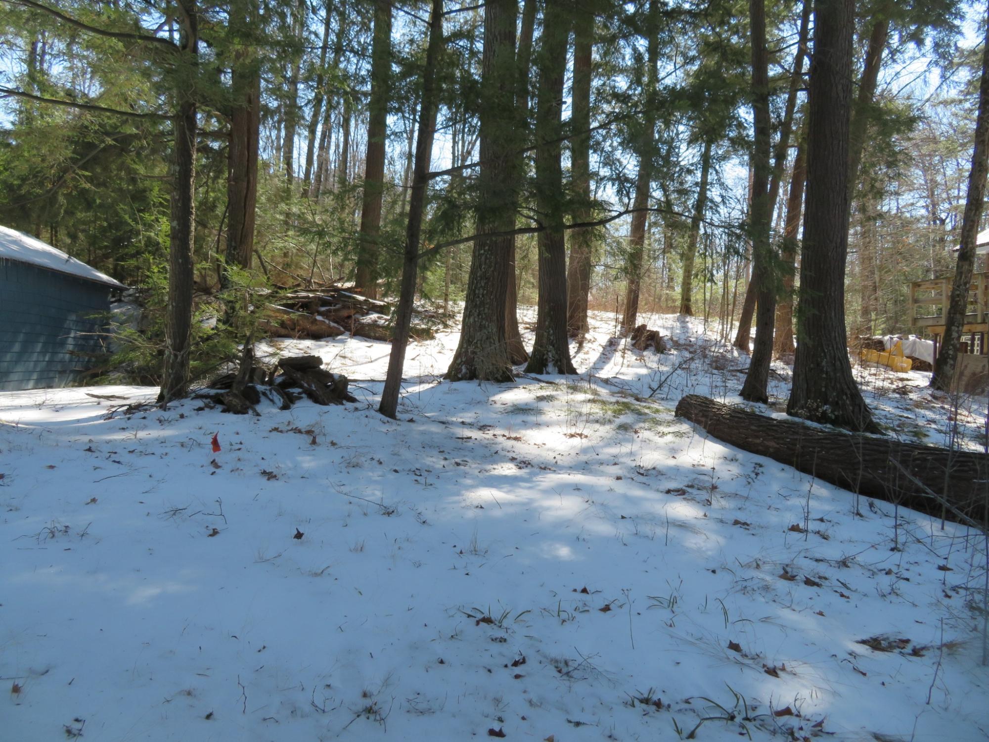 On Enterprise Lake Road Elcho, WI 54428 - Photo 8 of 15 Gallery Image 8