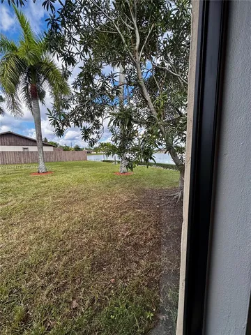 a view of a yard with a tree