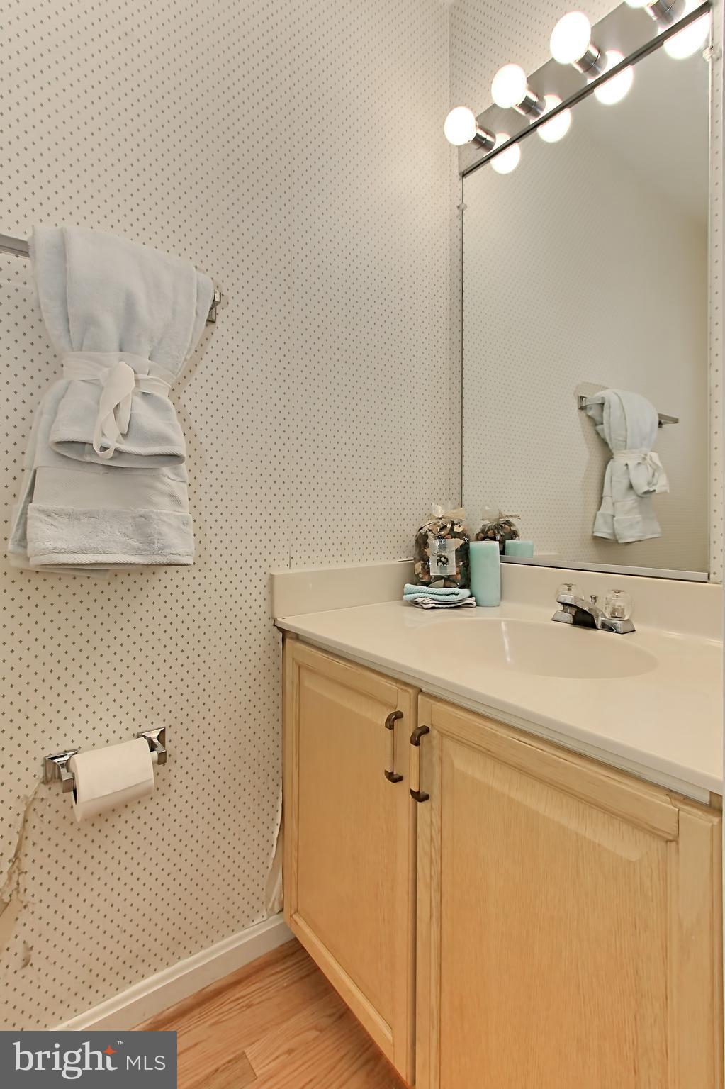 8705 Stone Hill Place Springfield, VA 22153 - Photo 20 of 30 Main Level Bath