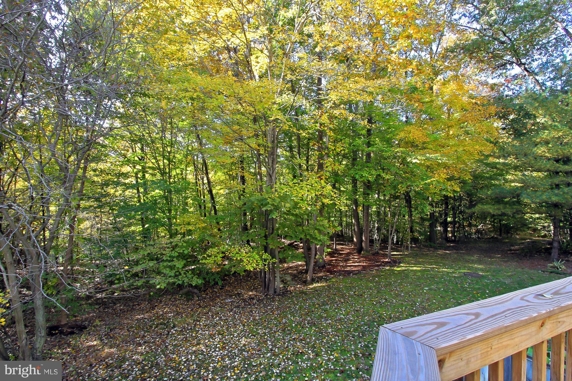 8705 Stone Hill Place Springfield, VA 22153 - Photo 30 of 30 Exterior (Rear)