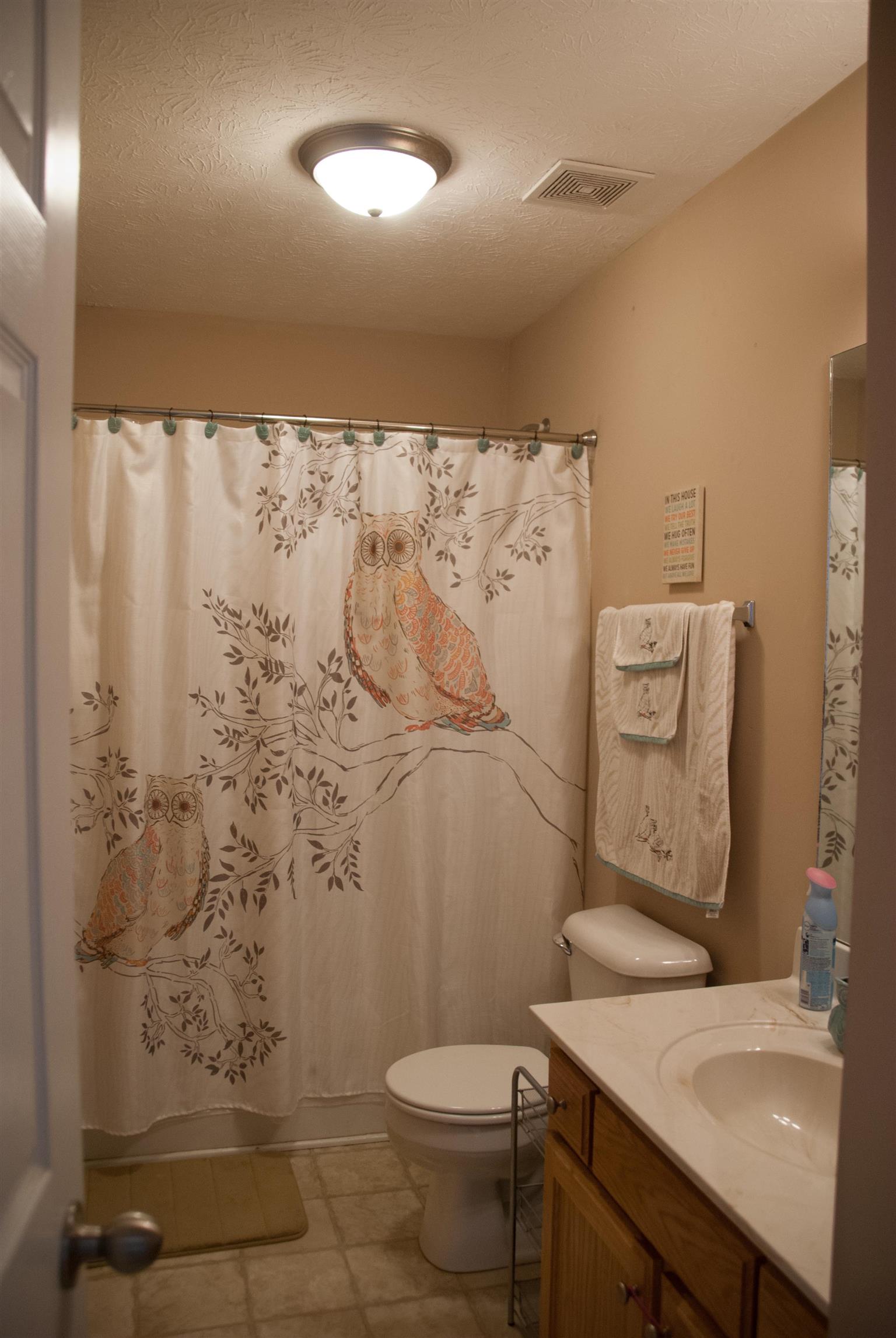 718 Lear Road Portland, TN 37148 - Photo 15 of 17 a bathroom with a sink toilet and shower