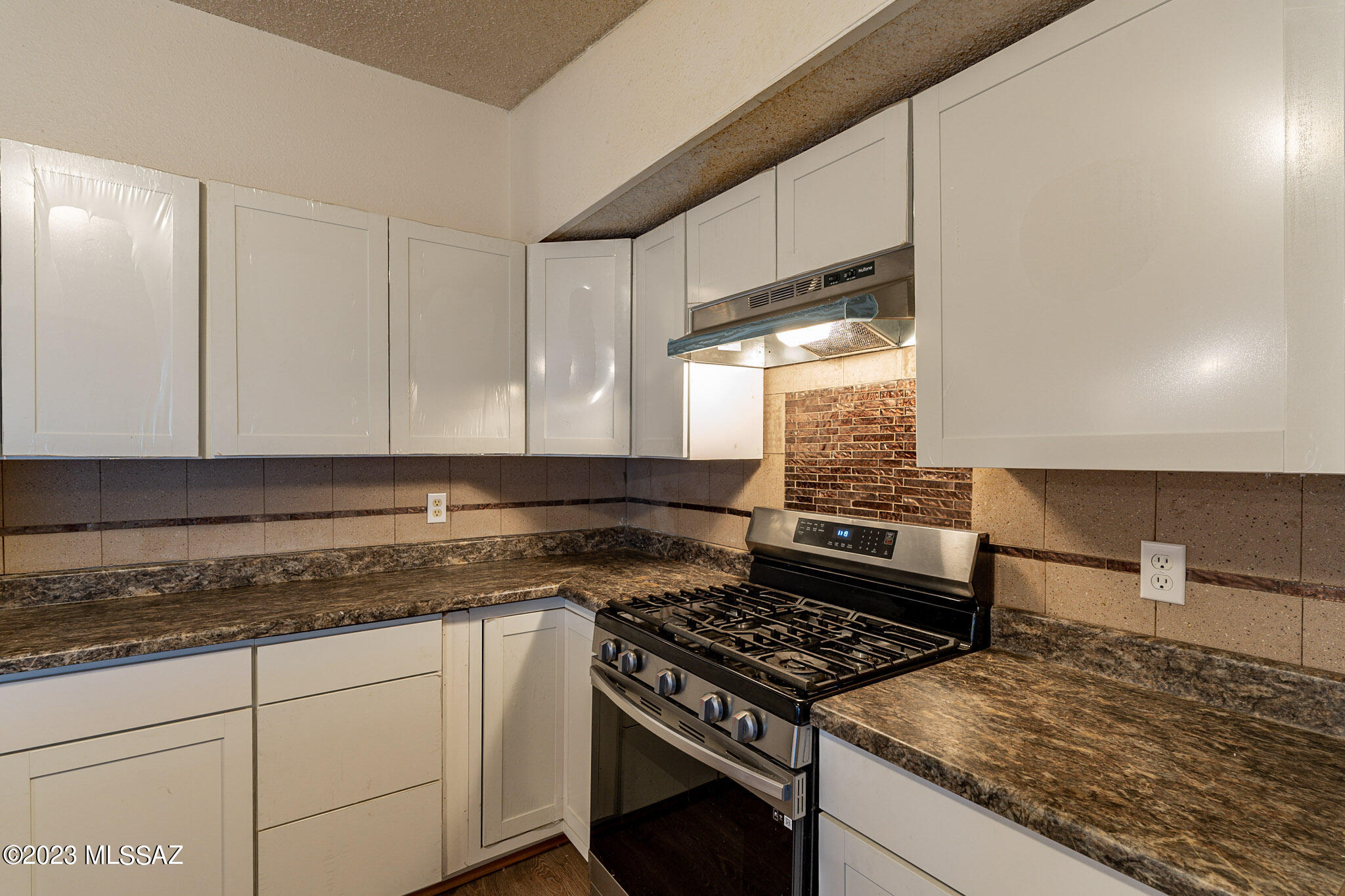 730 West Simmons Road Tucson, AZ 85705 - Photo 8 of 21