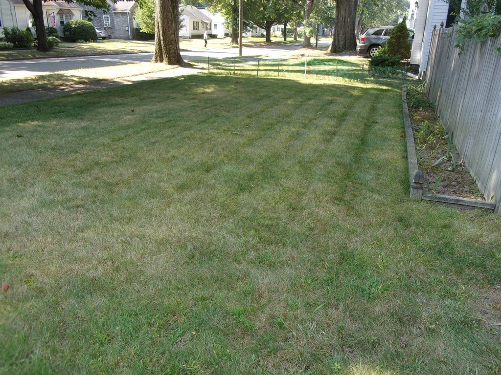 7 Dana Street Springfield, MA 01104 - Photo 4 of 30 Gallery Image 4
