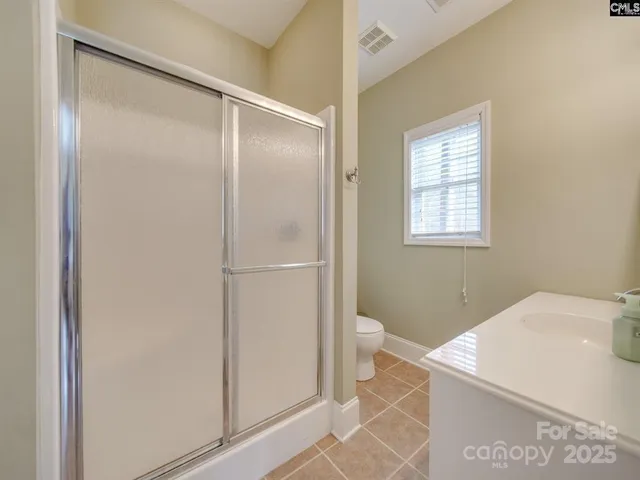a bathroom with a sink a toilet and a shower
