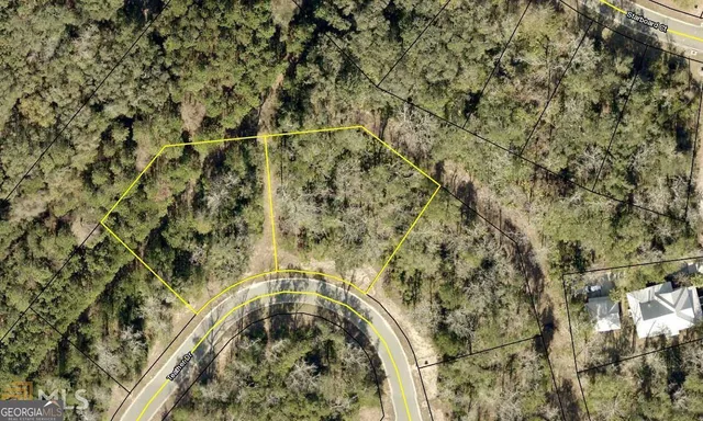 a view of a yard with a tree