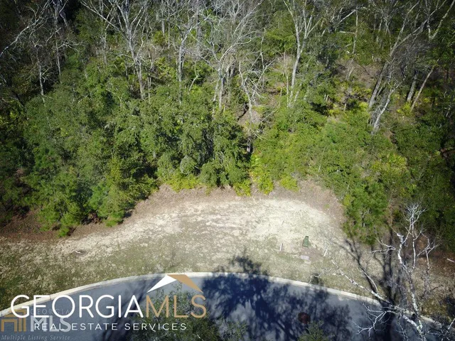 a view of a yard with an tree