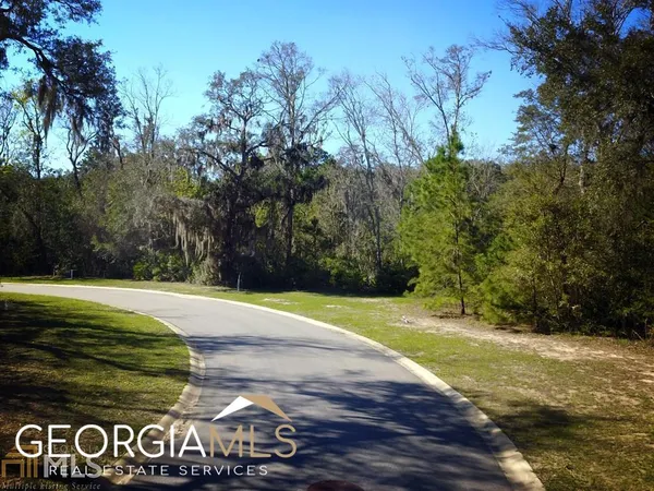 a view of a tree next to a road
