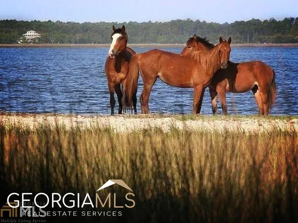 a view of outdoor space with seating space