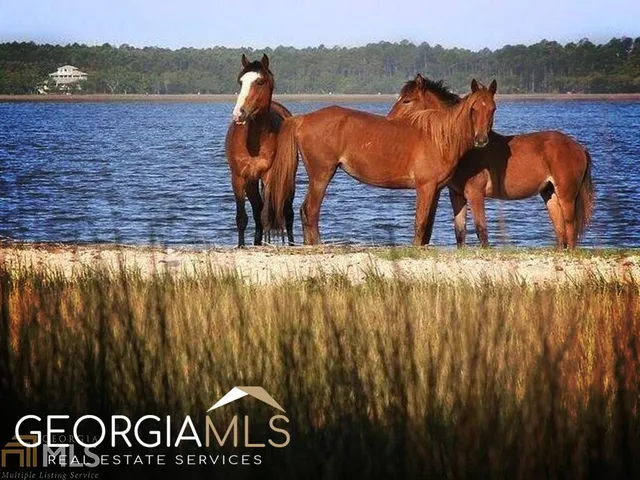 a view of outdoor space with seating space