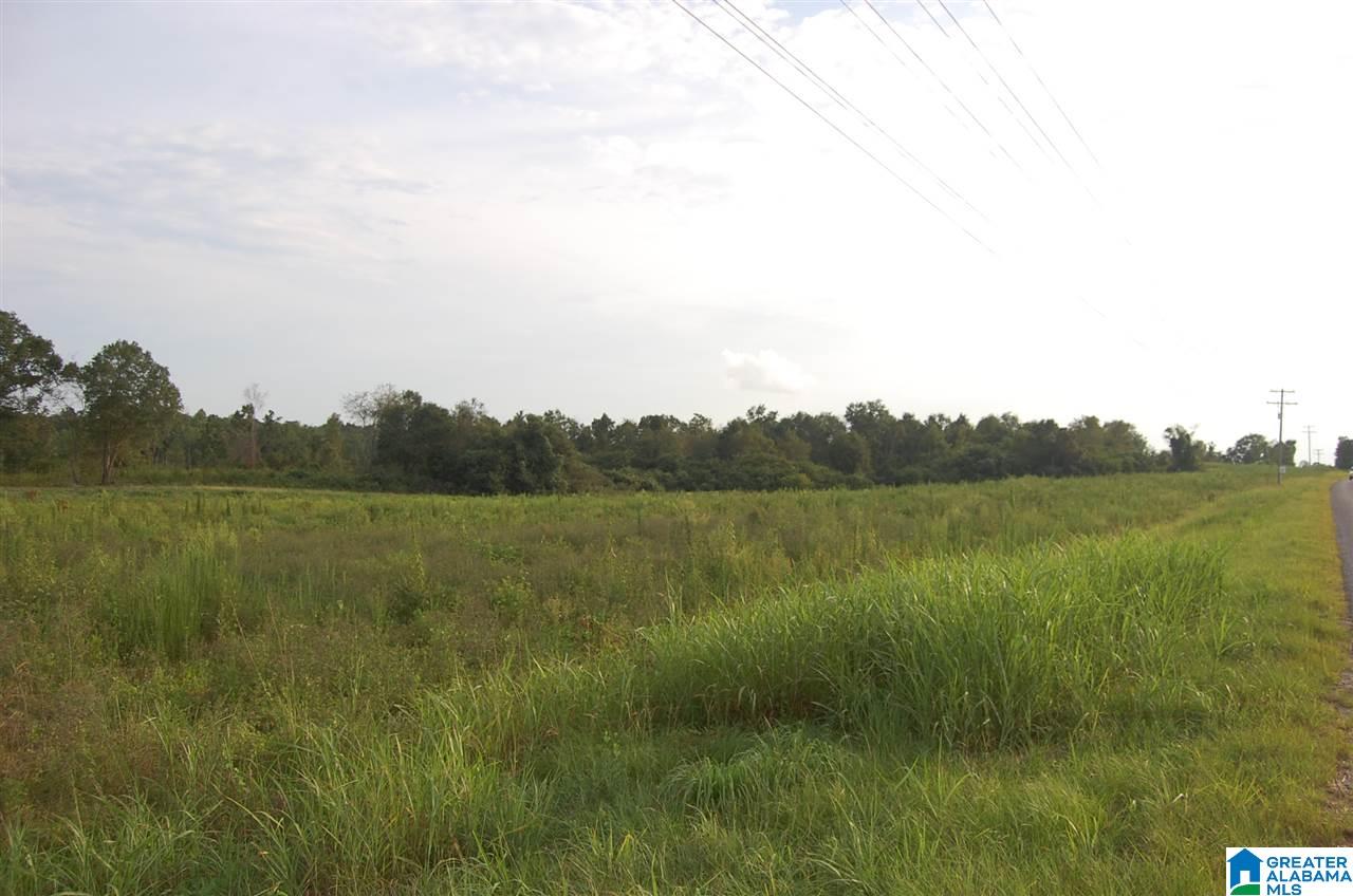 16 County Road, Unit 90 Maplesville, AL 36750 - Photo 3 of 15