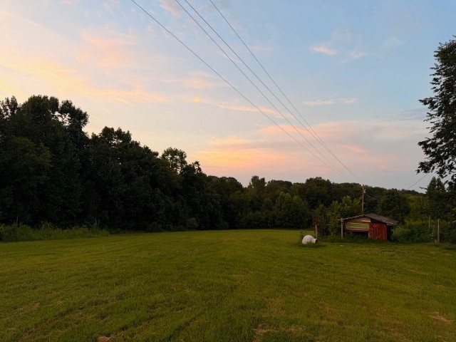 3231 State Rte 52 Bethpage, TN 37022 - Photo 15 of 24 Gallery Image 15