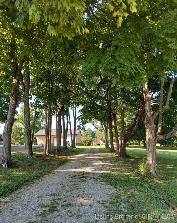 7164 Floyd Street Floyds Knobs, IN 47119 - Photo 3 of 47 Lovely tree lined drive.