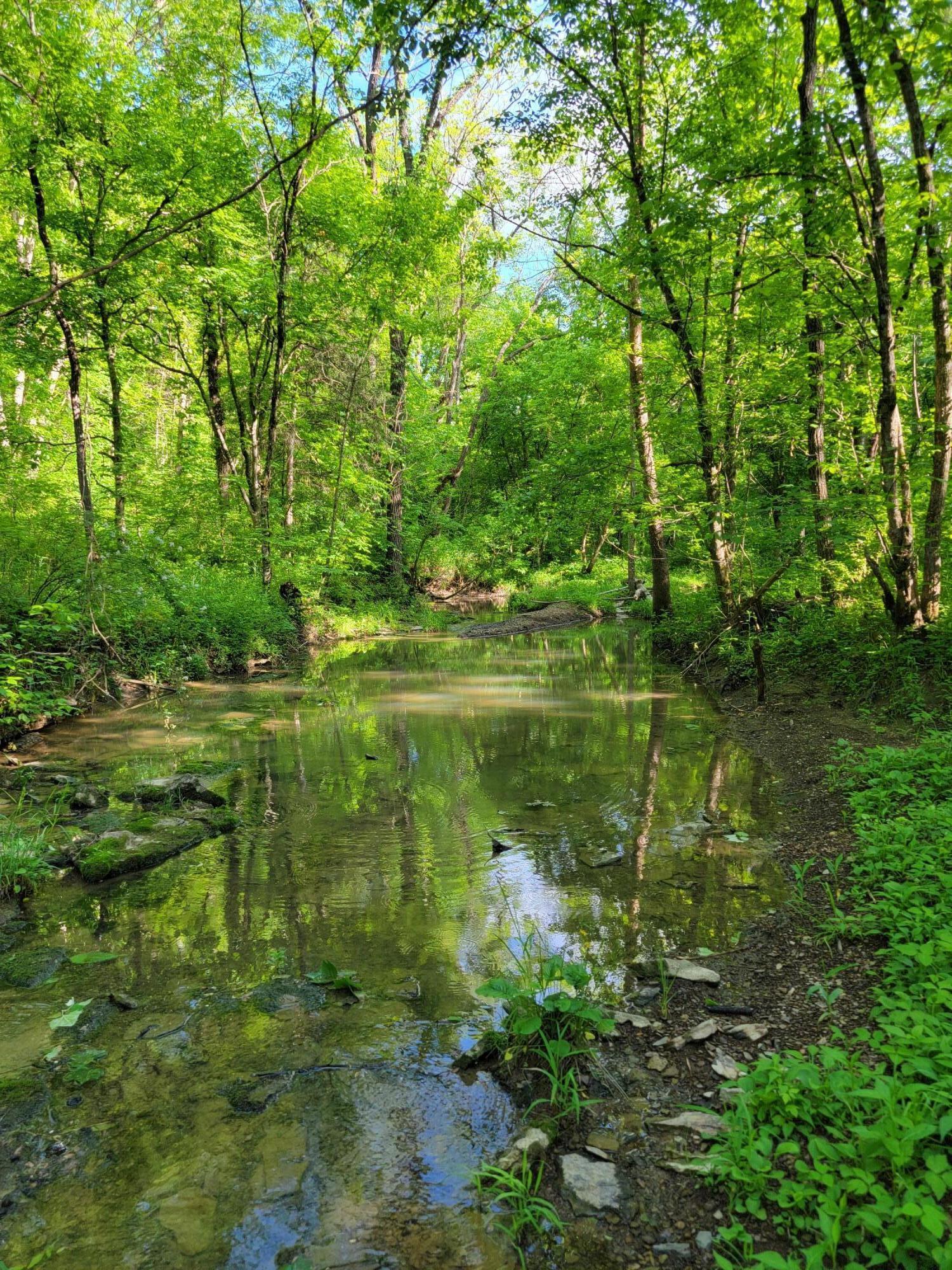 119-acres Keefer Road Corinth, KY 41010 - Photo 17 of 44 Gallery Image 17