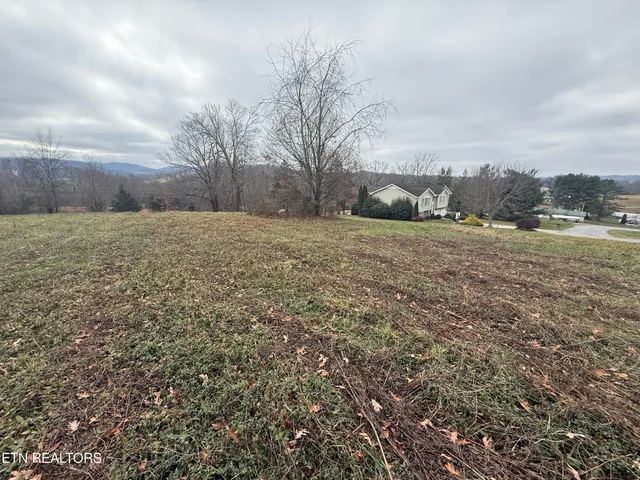 $25,000 | Lot #3 Oak Point Drive, Jonesville, VA 24263