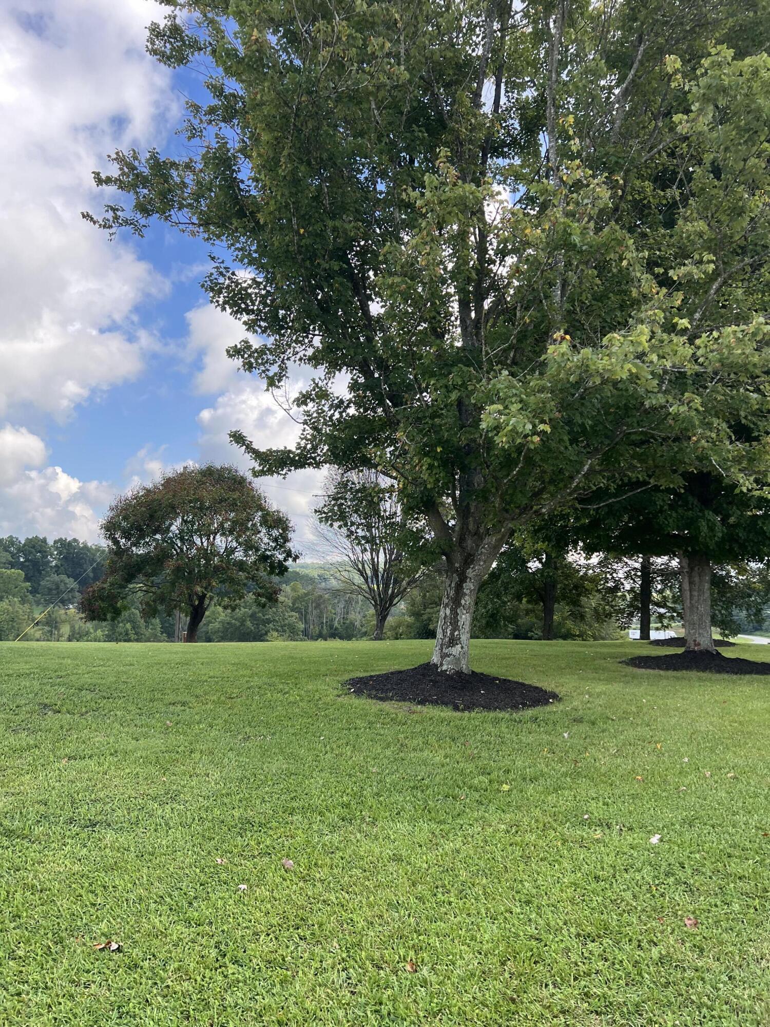 331 West Todd Road Science Hill, KY 42553 - Photo 10 of 12 IMG_1913