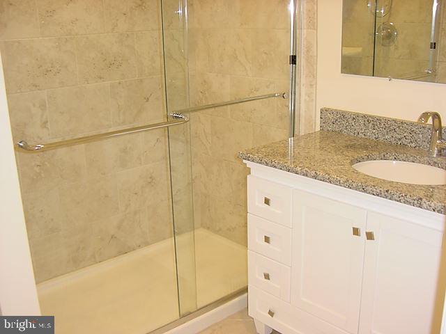 209 Williamsburg Road Sterling, VA 20164 - Photo 16 of 37 Luxurious Custom Ceramic Tile Master Bathroom