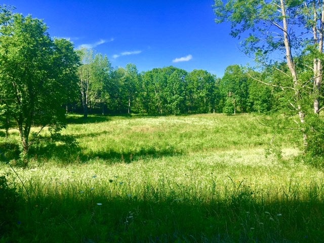 10497 Cemetery Road Bowling Green, KY 42103 - Photo 11 of 11 Gallery Image 11