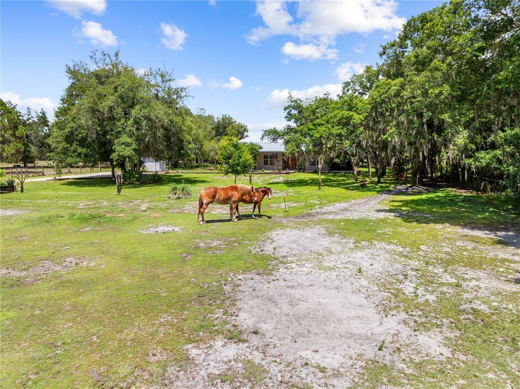 4295 Rambler Avenue St. Cloud, FL 34772 - Photo 95 of 99
