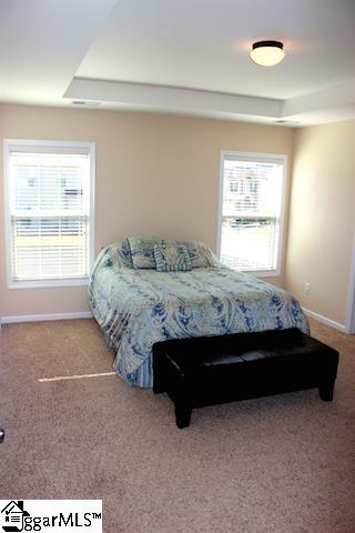115 Salthouse Road Simpsonville, SC 29680 - Photo 13 of 27 Gallery Image 13