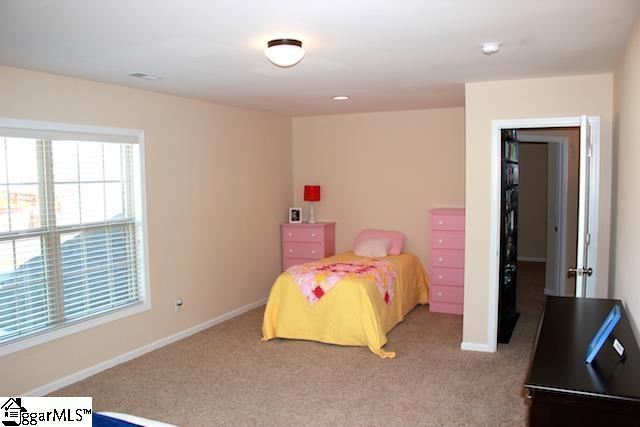 115 Salthouse Road Simpsonville, SC 29680 - Photo 24 of 27 Gallery Image 24