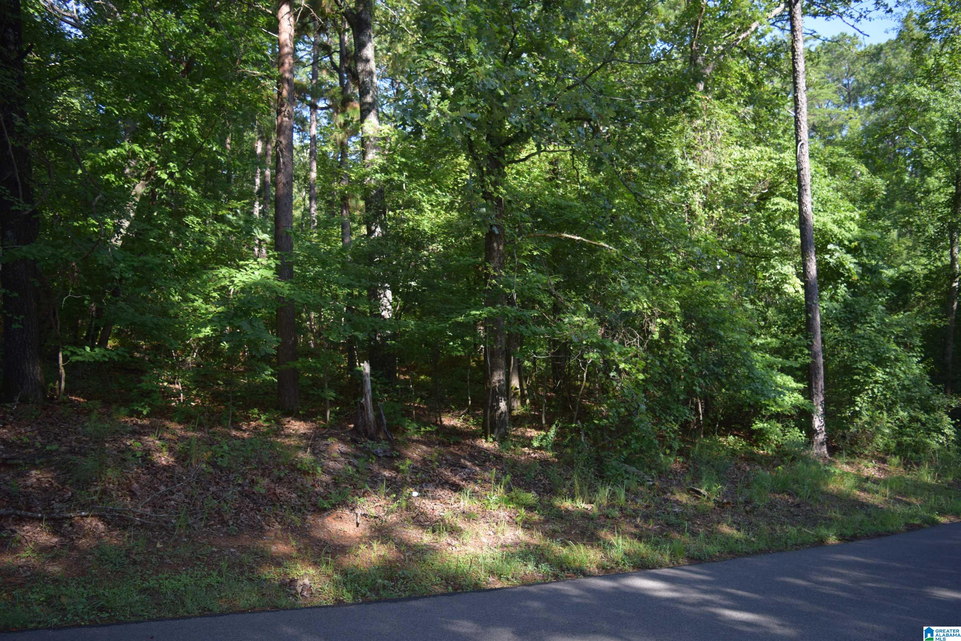 8401 Serene Lake Road, Unit 8401 McCalla, AL 35111 - Photo 6 of 7
