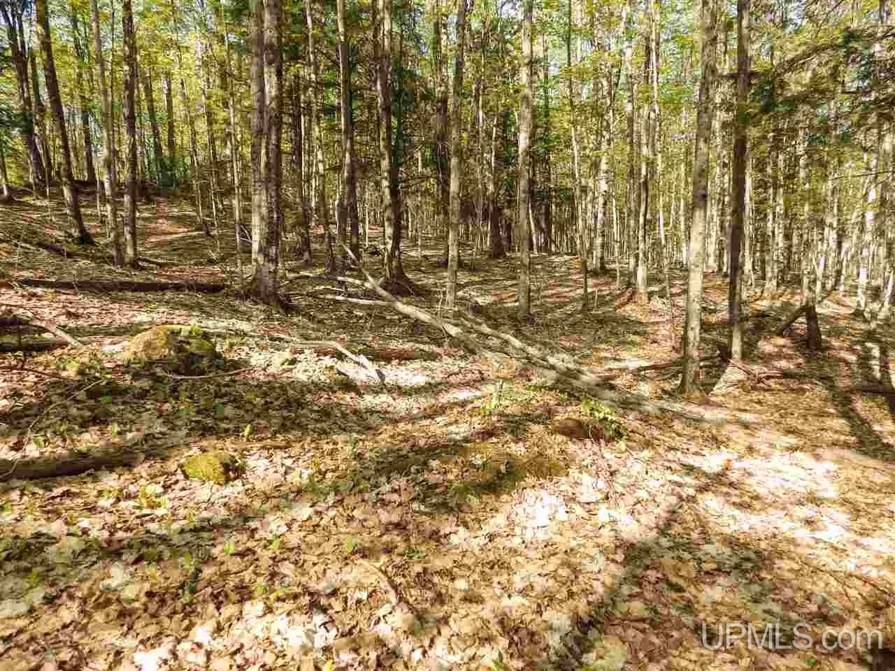 30 Acres Off Grove Street Marquette, MI 49855 - Photo 19 of 22