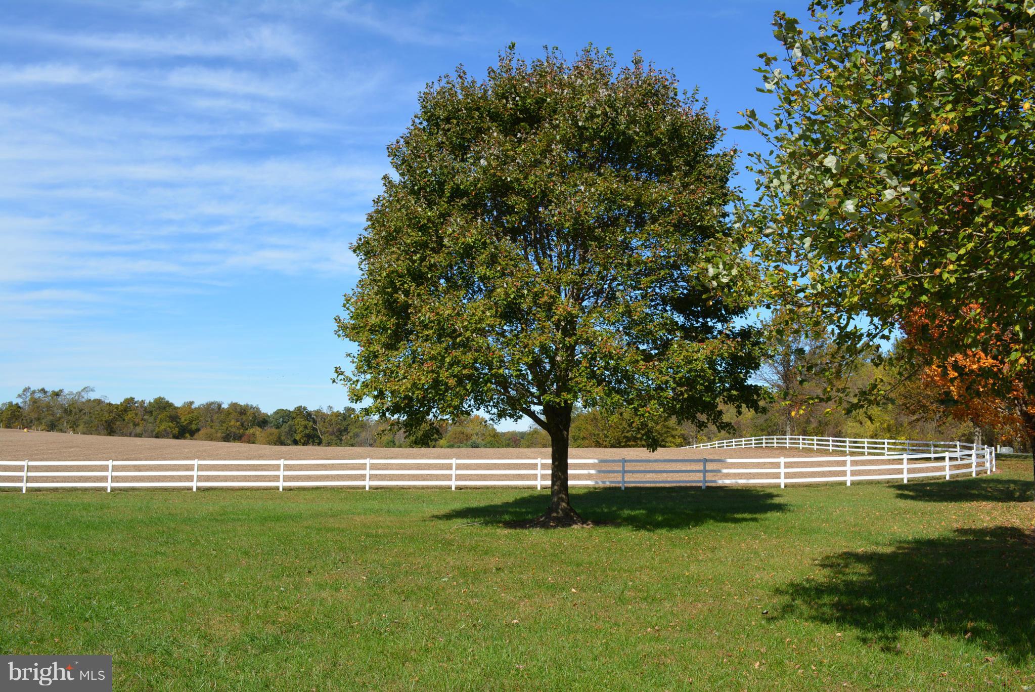 Exterior (General)