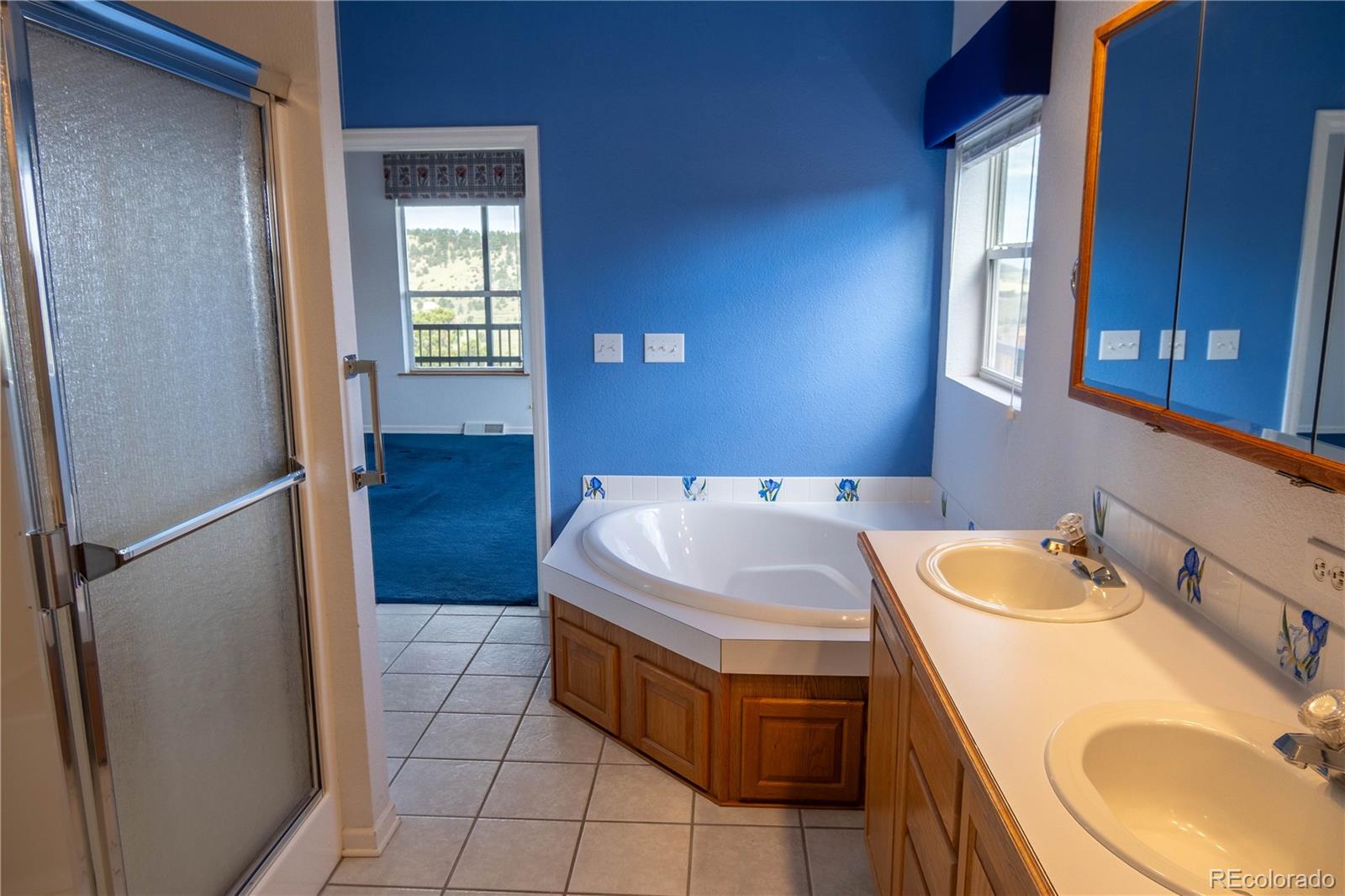 950 Junkins Loop Westcliffe, CO 81252 - Photo 19 of 35 a bathroom with a sink a toilet and tub