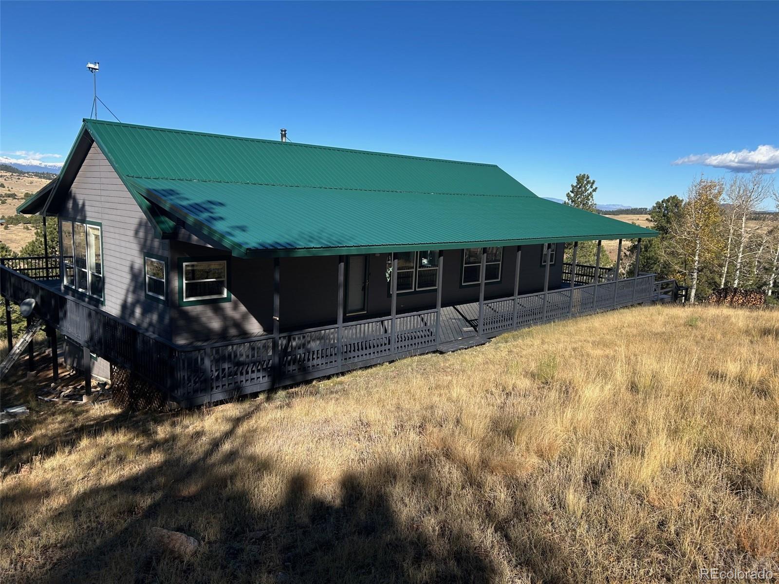950 Junkins Loop Westcliffe, CO 81252 - Photo 3 of 35 a front view of a house with a yard