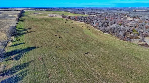 a view of a pathway with a yard
