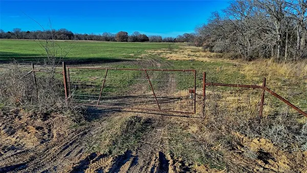 a view of a yard