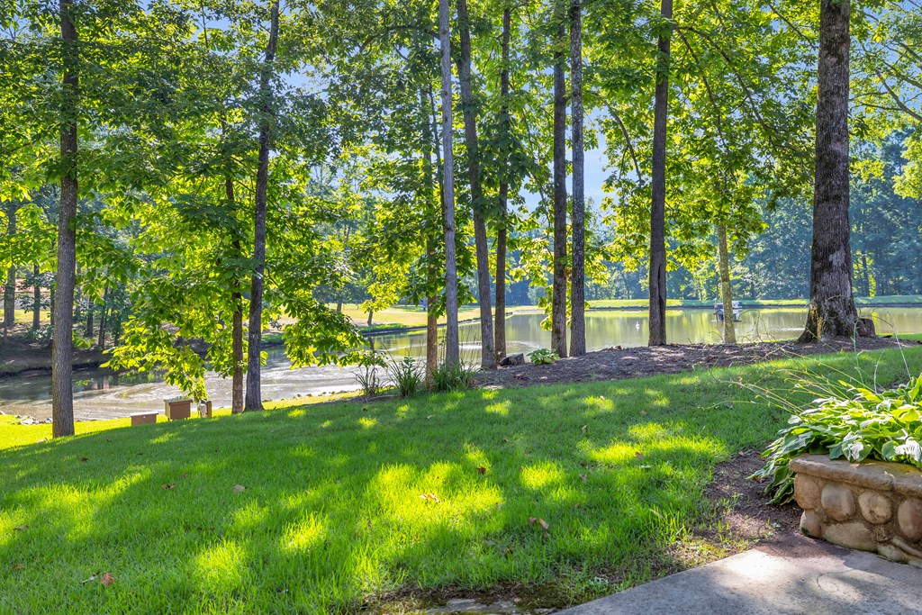 4029 Miller Road Hodges, SC 29653 - Photo 57 of 78 Gallery Image 57
