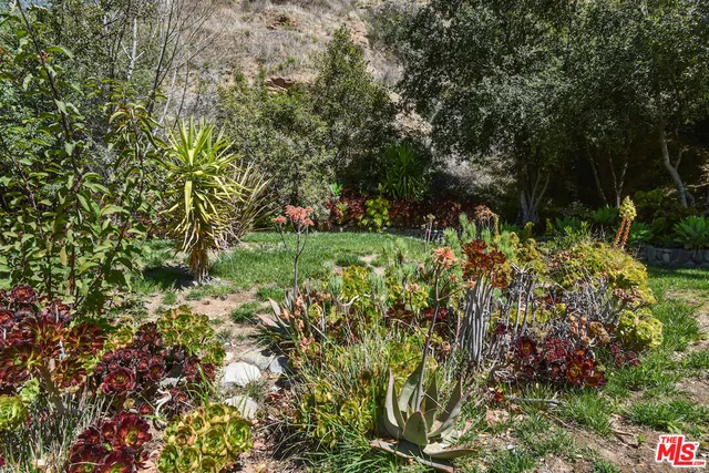 a view of a garden with plants and large trees