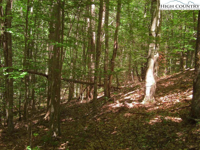 145 Arrowhead Road Beech Mountain, NC 28604 - Photo 1 of 4 Gallery Image 1