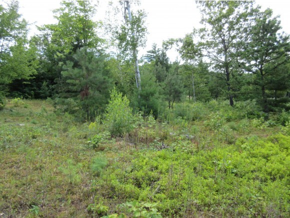 4 Pocket Mountain Road Ossipee, NH 03864 - Photo 5 of 9 Gallery Image 5