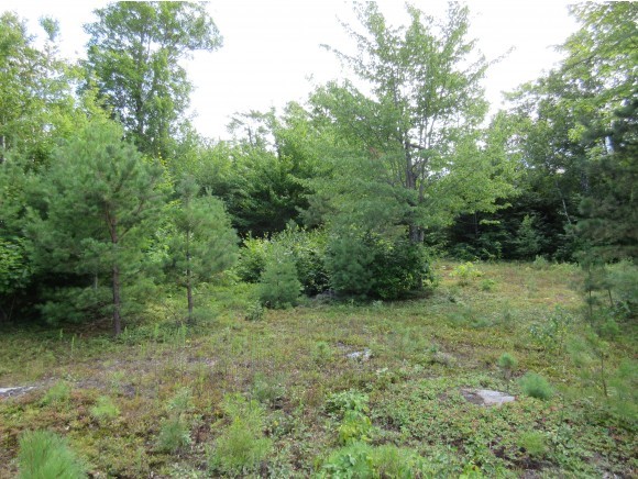 4 Pocket Mountain Road Ossipee, NH 03864 - Photo 7 of 9 Gallery Image 7