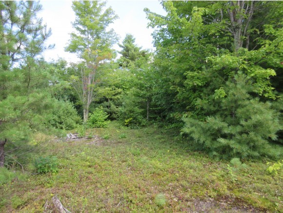 4 Pocket Mountain Road Ossipee, NH 03864 - Photo 8 of 9 Gallery Image 8