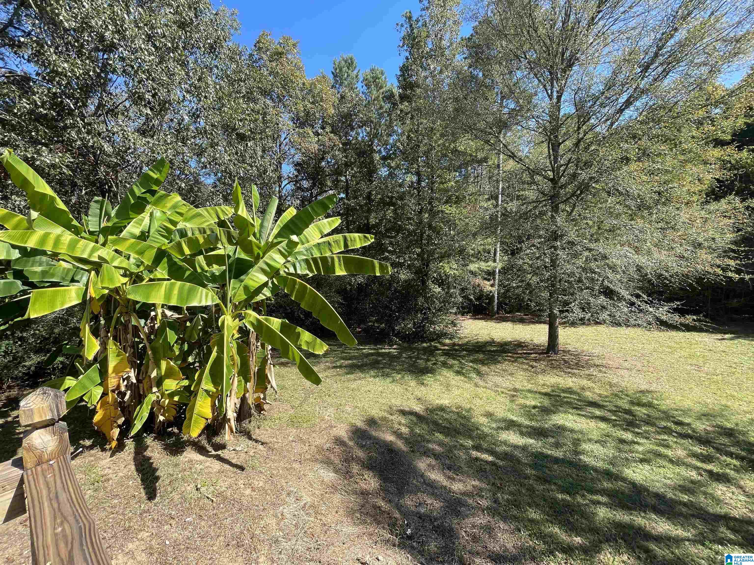 720 Chapel Road Warrior, AL 35180 - Photo 3 of 8