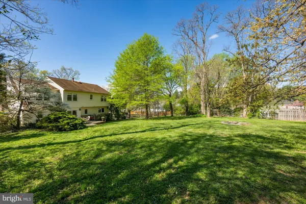 a view of a park with large trees