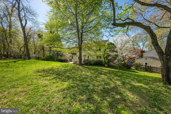 a view of a yard with a tree