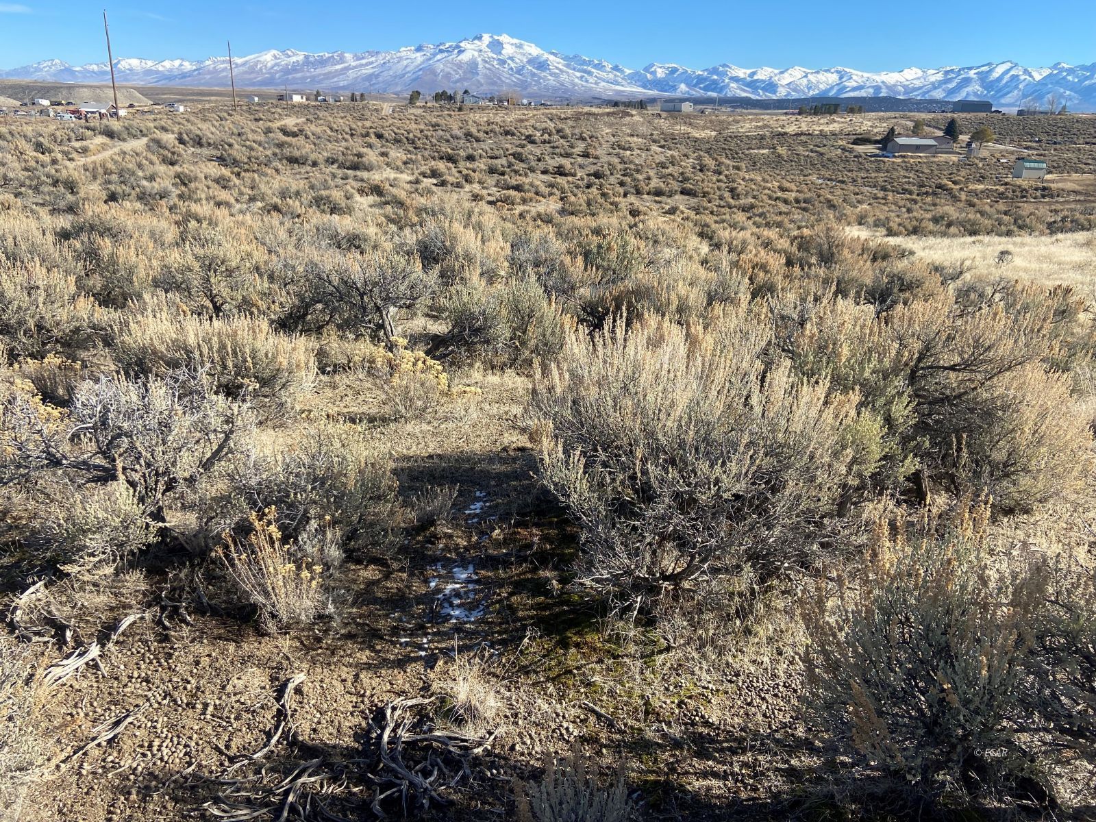 Marshall Ave Spring Creek Spring Creek, NV 89815 - Photo 16 of 16