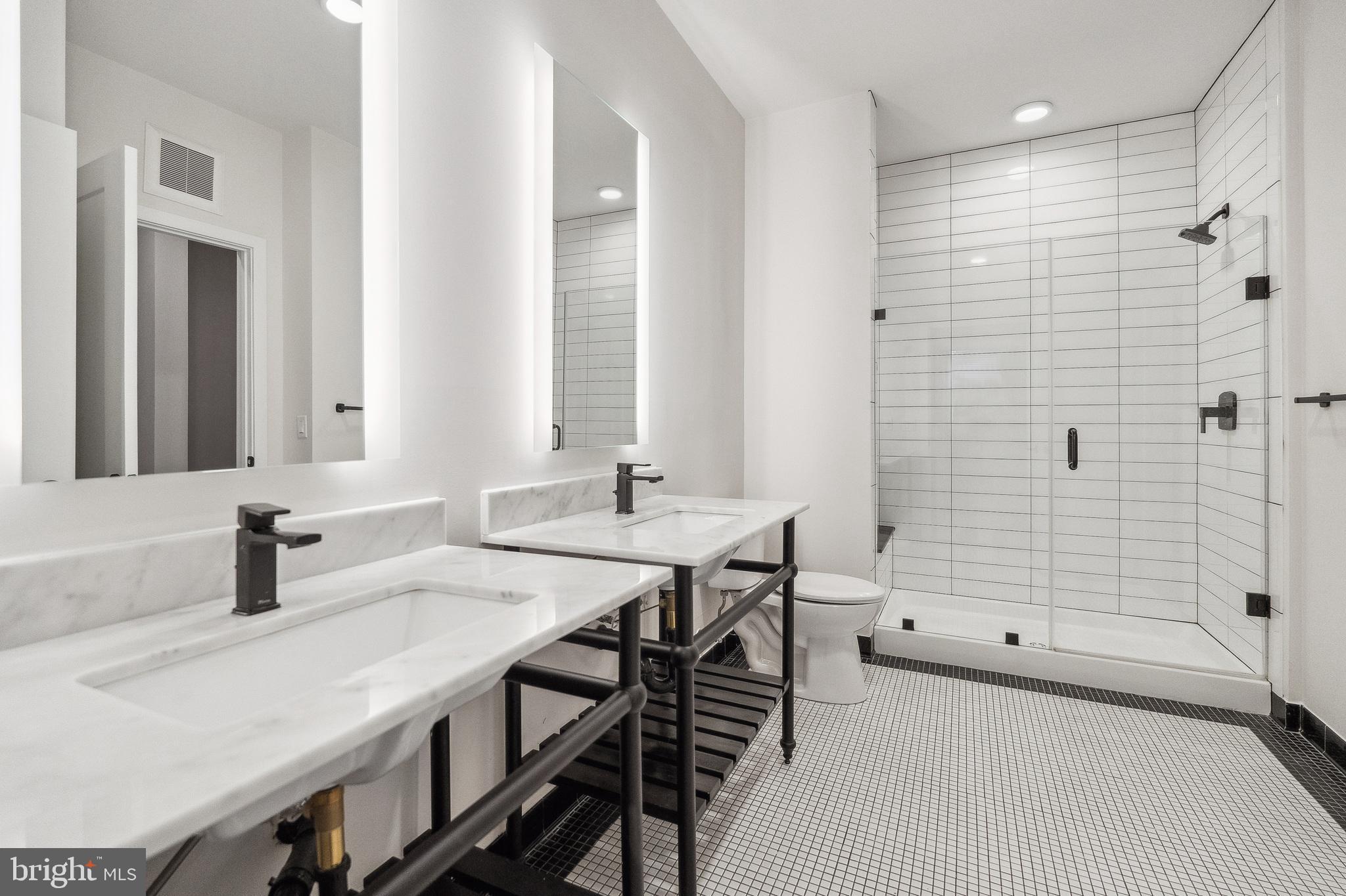 1339 E Street Southeast, Unit 209 Washington, DC 20003 - Photo 13 of 35 a bathroom with a sink and a mirror