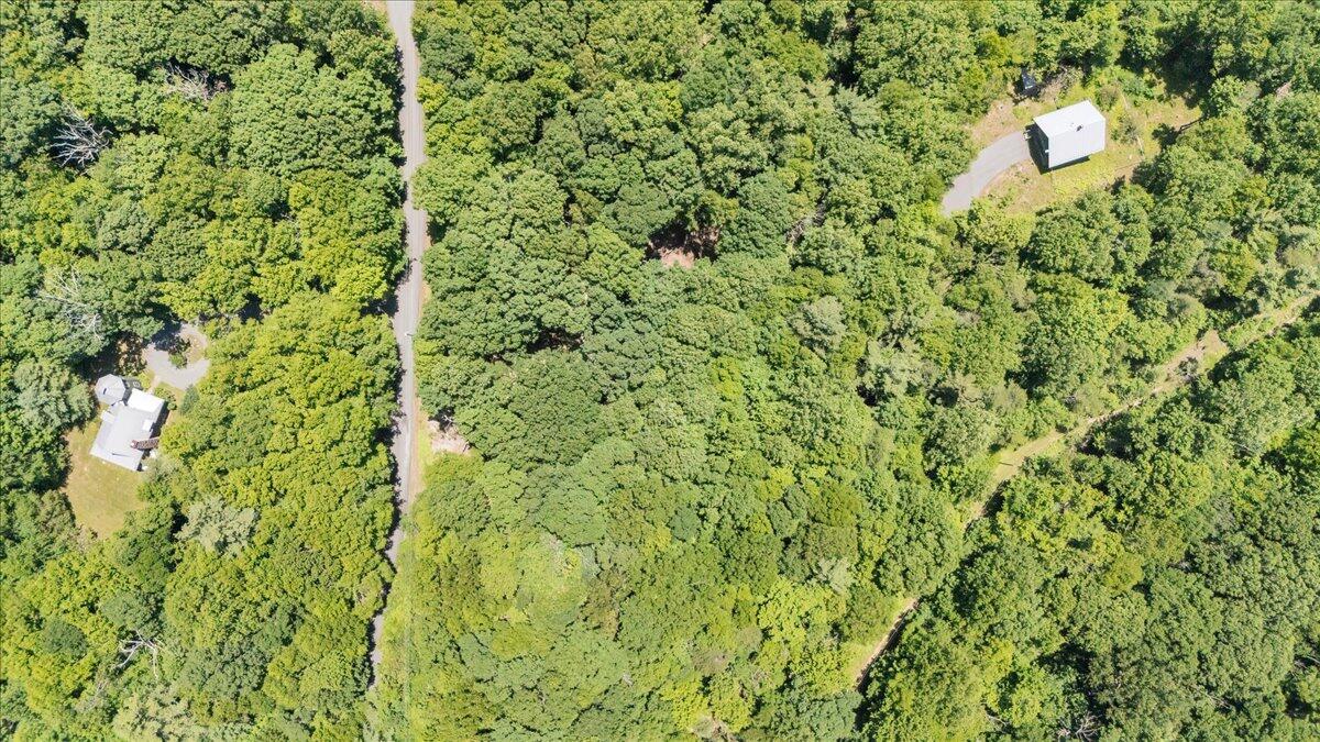 Tbd Dogwood Ridge Fancy Gap, VA 24328 - Photo 21 of 24 12-DJI_20260702131441_0012_D