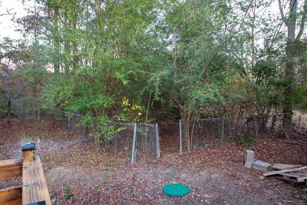 141 Patterson Road Fort Mitchell, AL 36856 - Photo 32 of 39