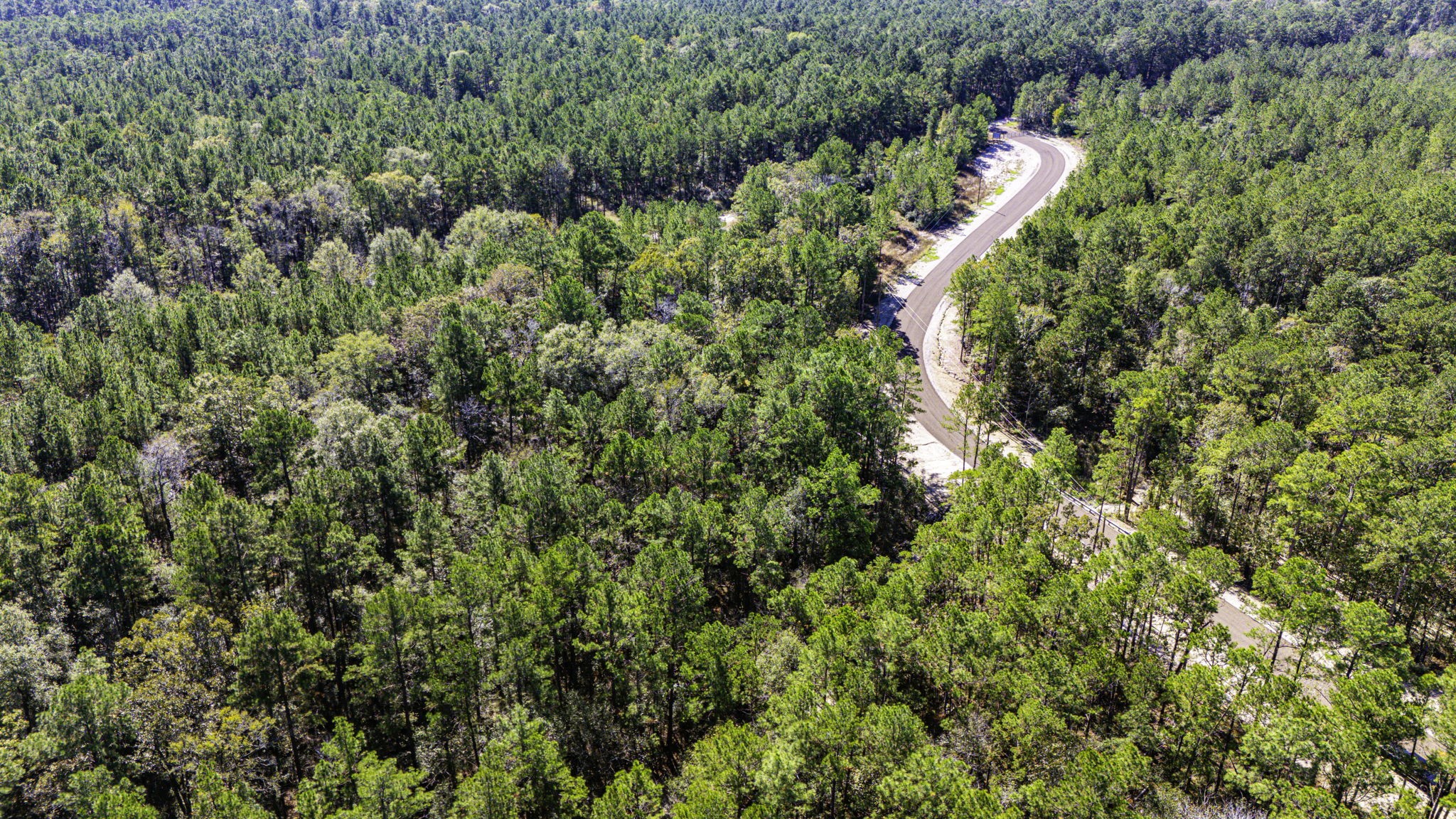 31 King Ranch Road Road Onalaska, TX 77360 - Photo 11 of 14