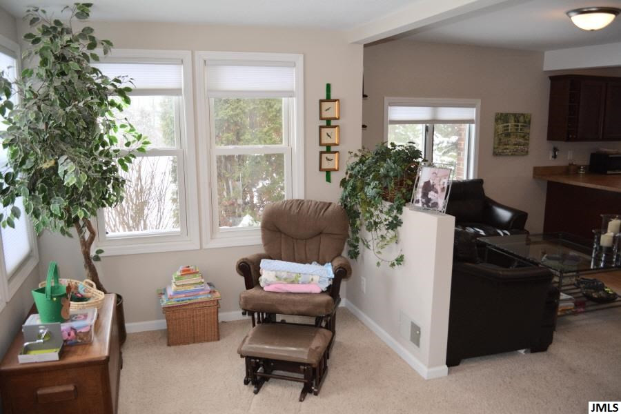 4577 Brooklyn Road Jackson, MI 49201 - Photo 5 of 20 Photo 5