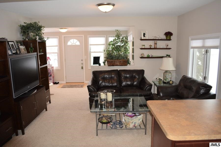 4577 Brooklyn Road Jackson, MI 49201 - Photo 6 of 20 Photo 6