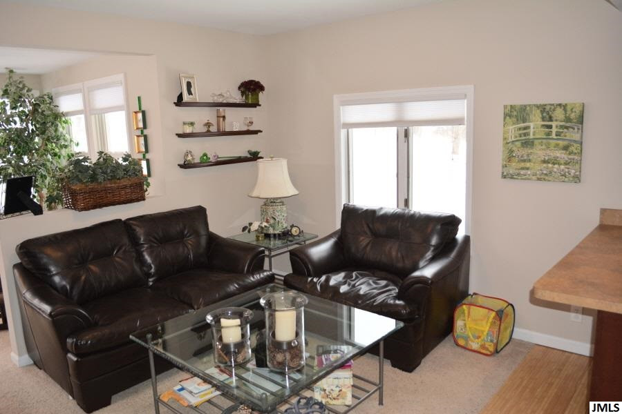 4577 Brooklyn Road Jackson, MI 49201 - Photo 7 of 20 Photo 7