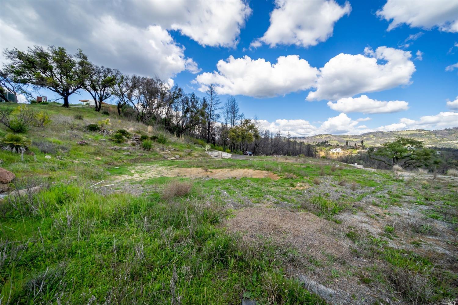 900 Quietwater Ridge Santa Rosa, CA 95404 - Photo 16 of 38 a view of a big yard with lots of green space