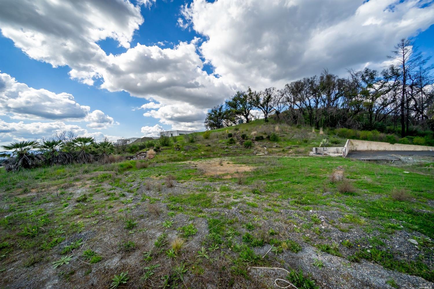 900 Quietwater Ridge Santa Rosa, CA 95404 - Photo 17 of 38 a view of a grassy field with trees